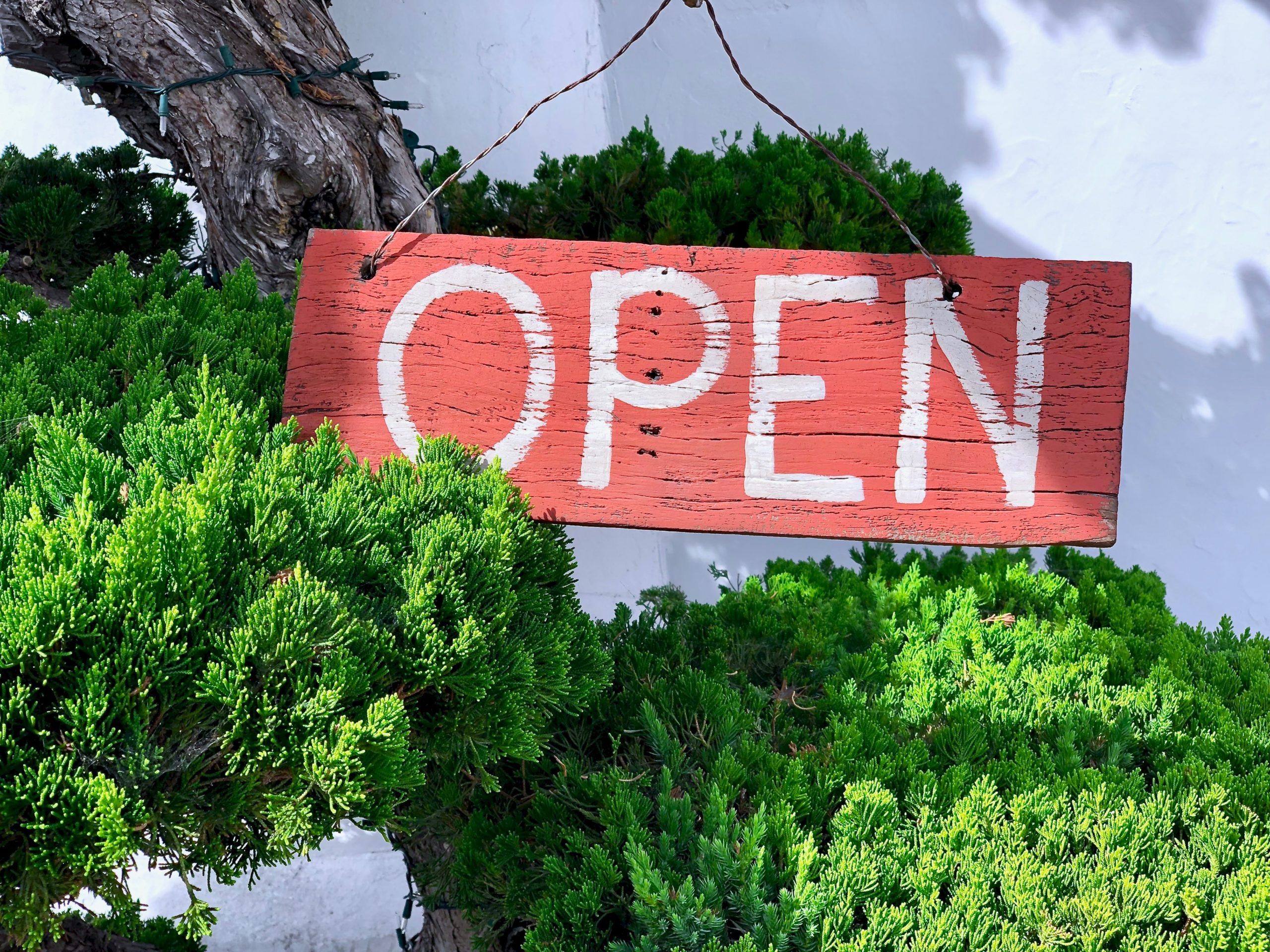TS Ma Chinese Cuisine Re-Opens Tuesday, May 5, 2020!